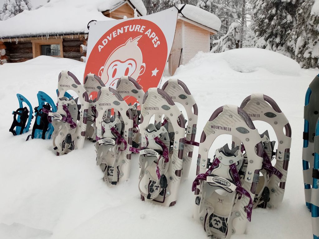 Activiteit sneeuwschoenwandeling excursie